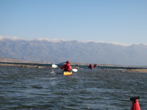 DSC03644